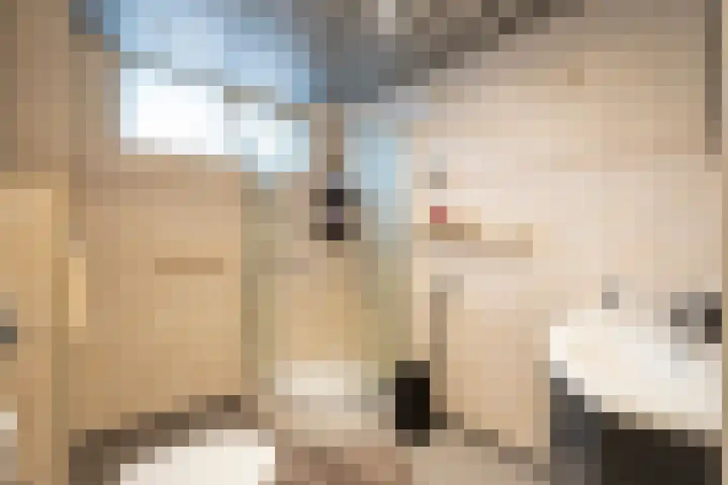 Frederik van Eedenstraat 11 Papendrecht thumbnail 21