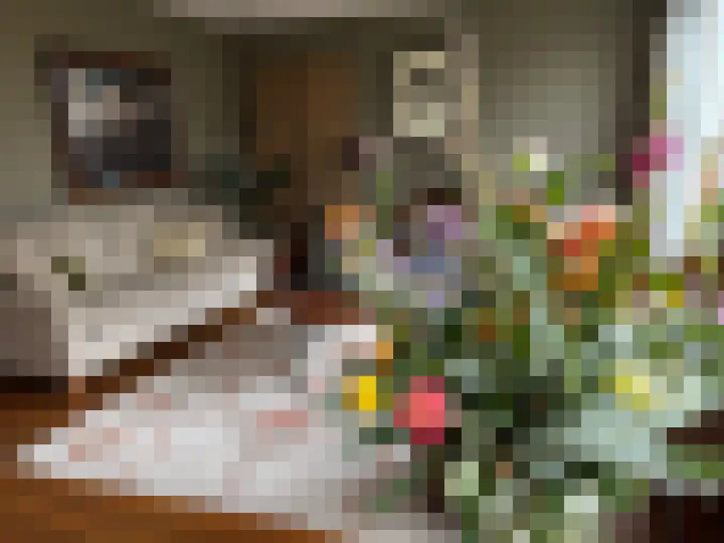 Frederik van Eedenstraat 11 Sommelsdijk thumbnail 11
