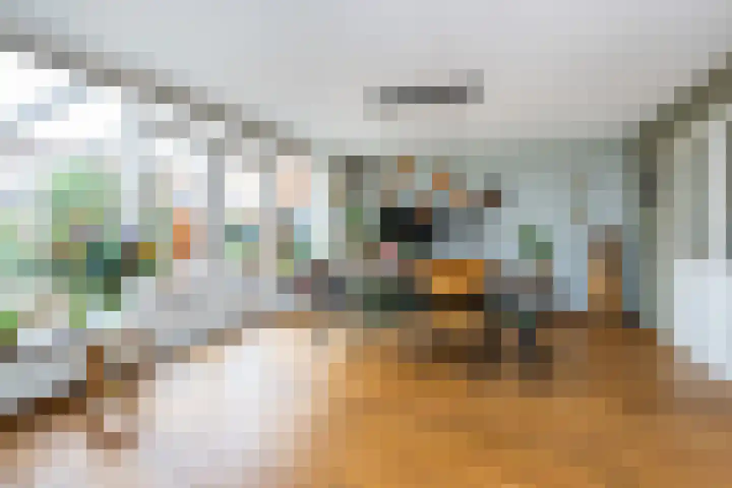 Frederik van Eedenstraat 11 Sommelsdijk thumbnail 13