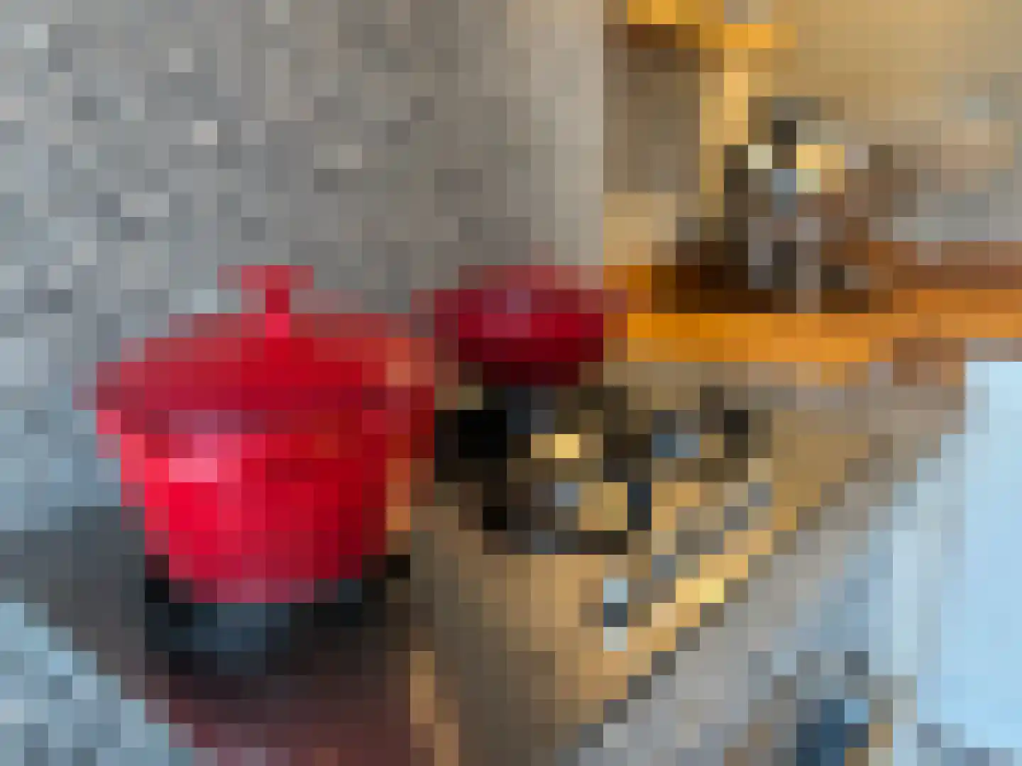 Frederik van Eedenstraat 11 Sommelsdijk thumbnail 18