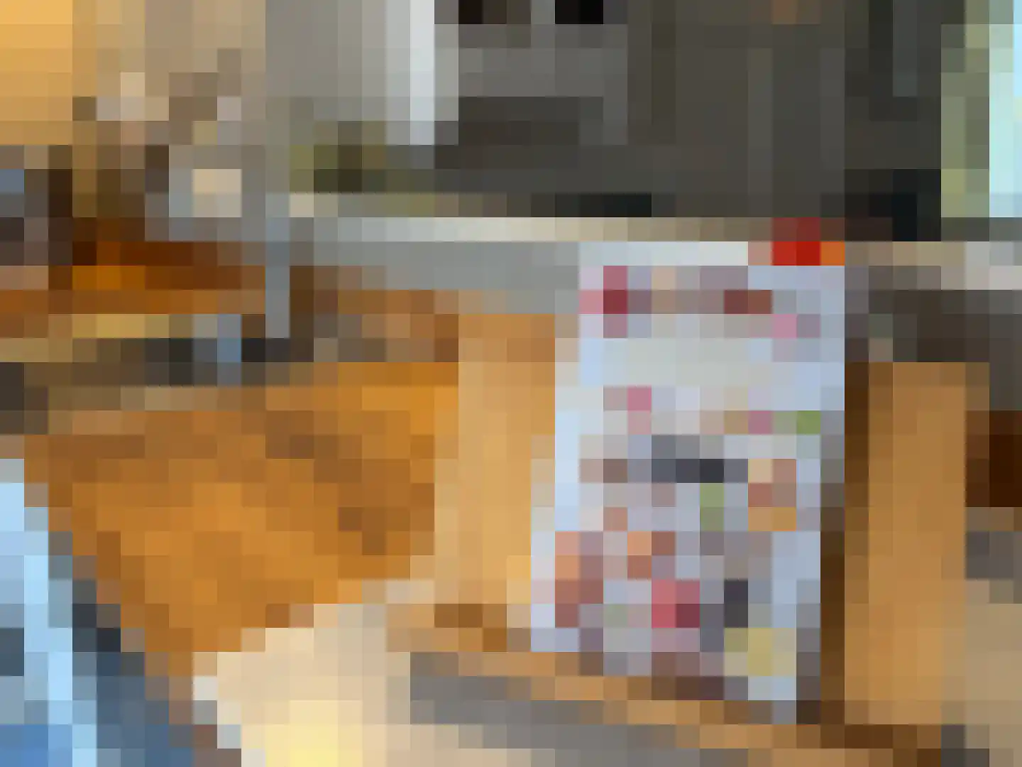 Frederik van Eedenstraat 11 Sommelsdijk thumbnail 20