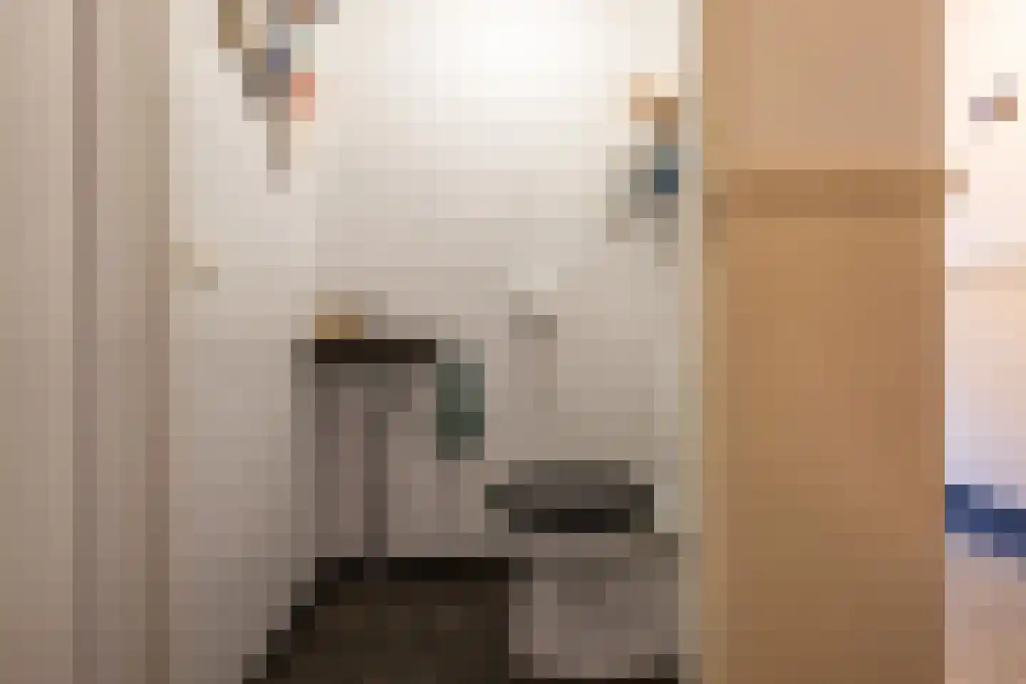 Frederik van Eedenstraat 11 Sommelsdijk thumbnail 23