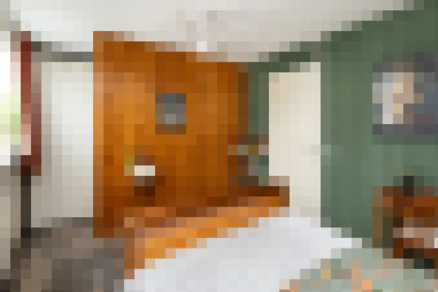 Frederik van Eedenstraat 11 Sommelsdijk thumbnail 26