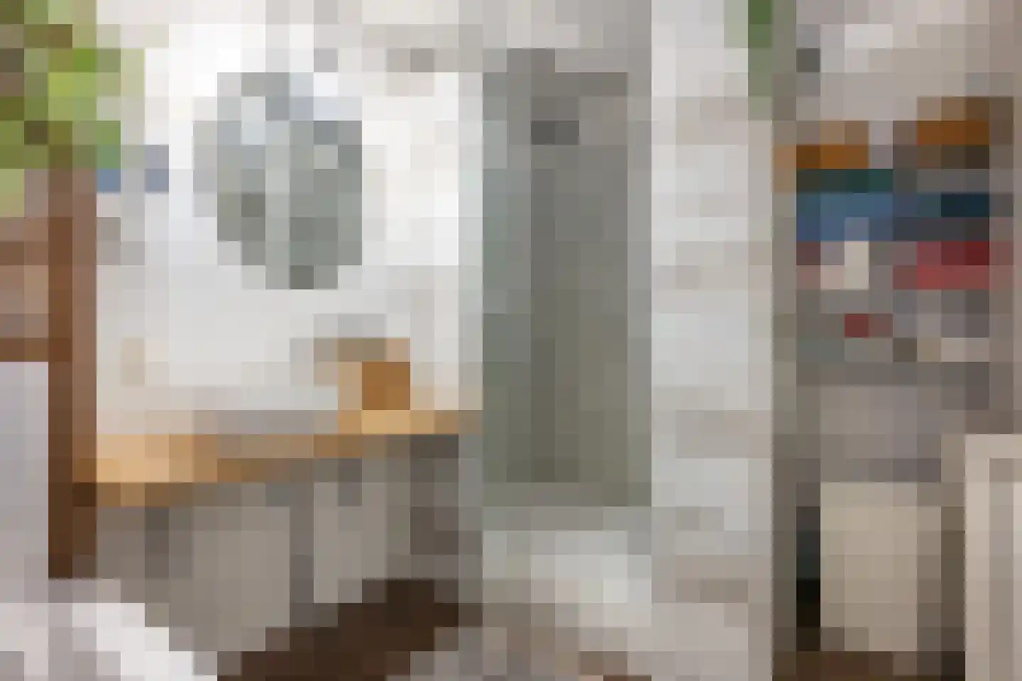 Frederik van Eedenstraat 11 Sommelsdijk thumbnail 29