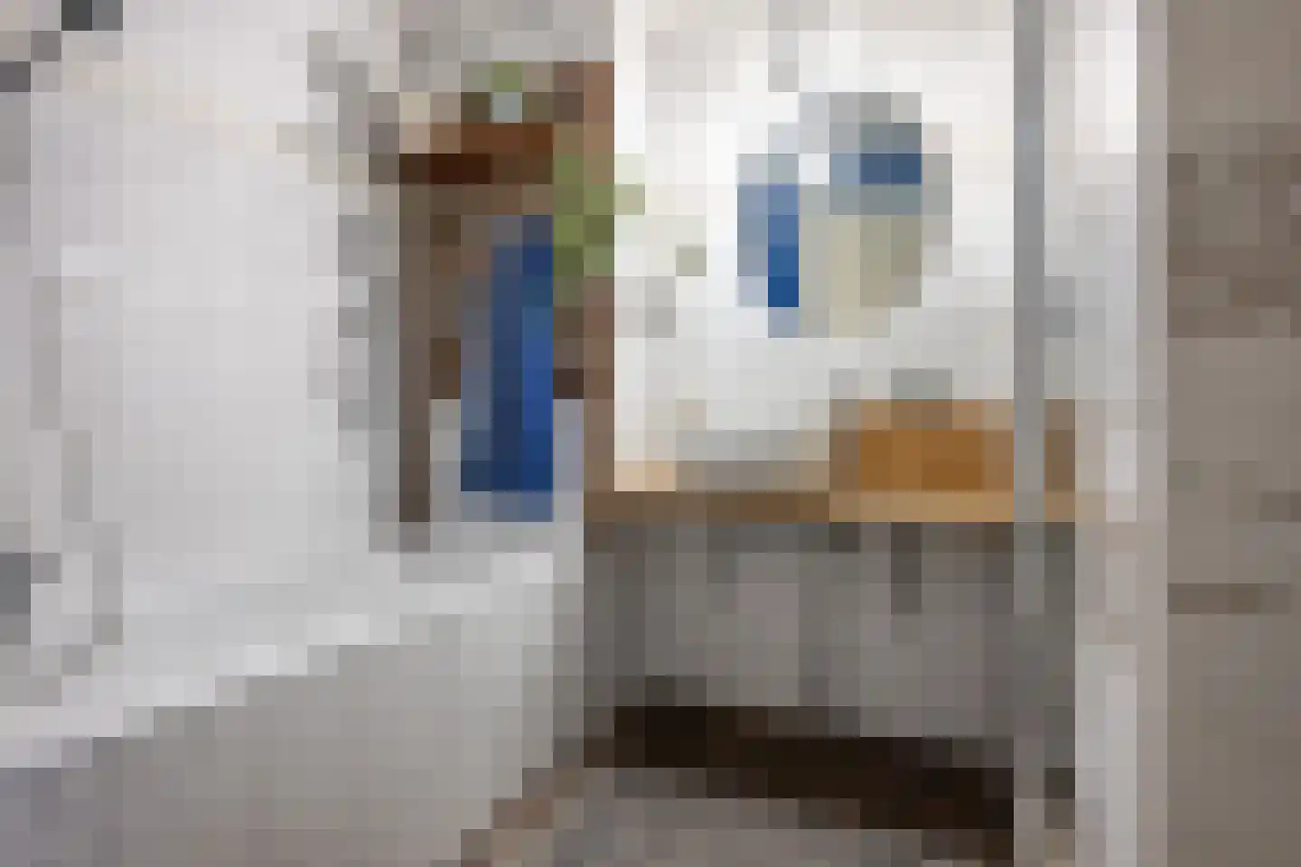 Frederik van Eedenstraat 11 Sommelsdijk thumbnail 31