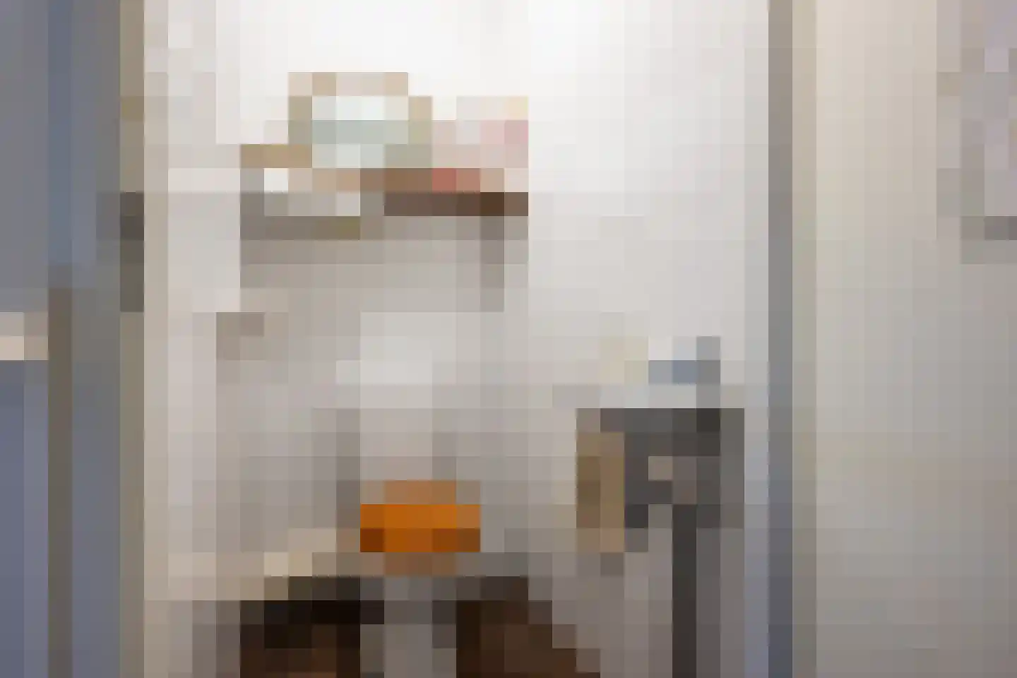 Frederik van Eedenstraat 11 Sommelsdijk thumbnail 32