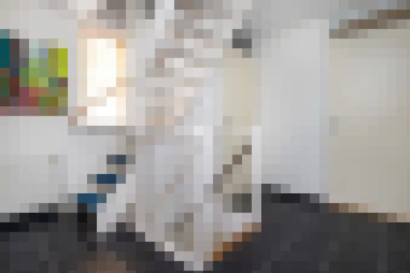Frederik van Eedenstraat 11 Sommelsdijk thumbnail 33