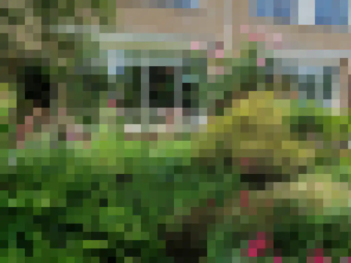 Frederik van Eedenstraat 11 Sommelsdijk thumbnail 4