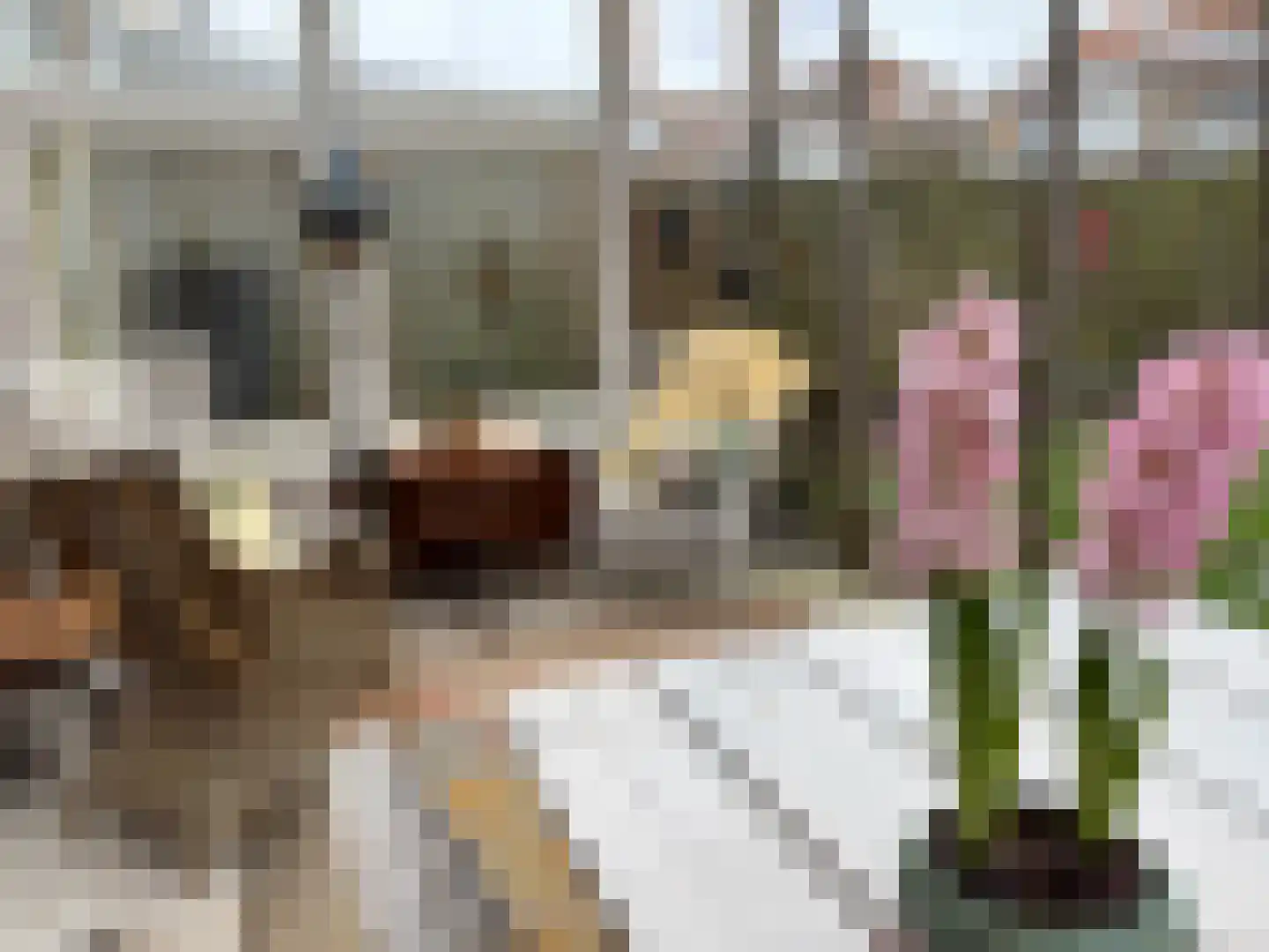 Frederik van Eedenstraat 11 Sommelsdijk thumbnail 43