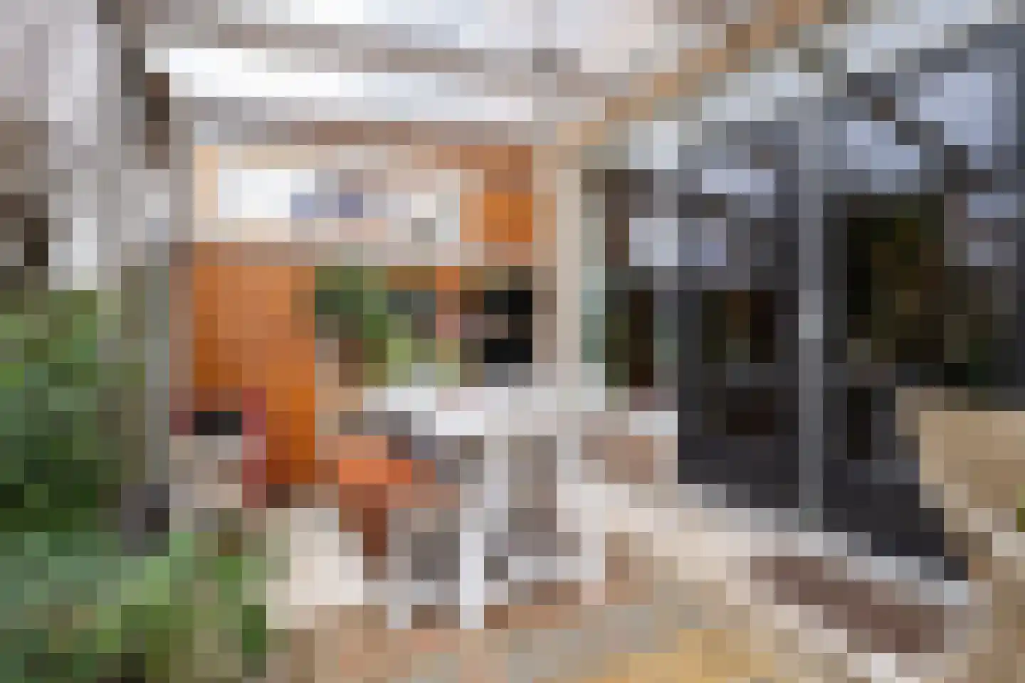 Frederik van Eedenstraat 11 Sommelsdijk thumbnail 44