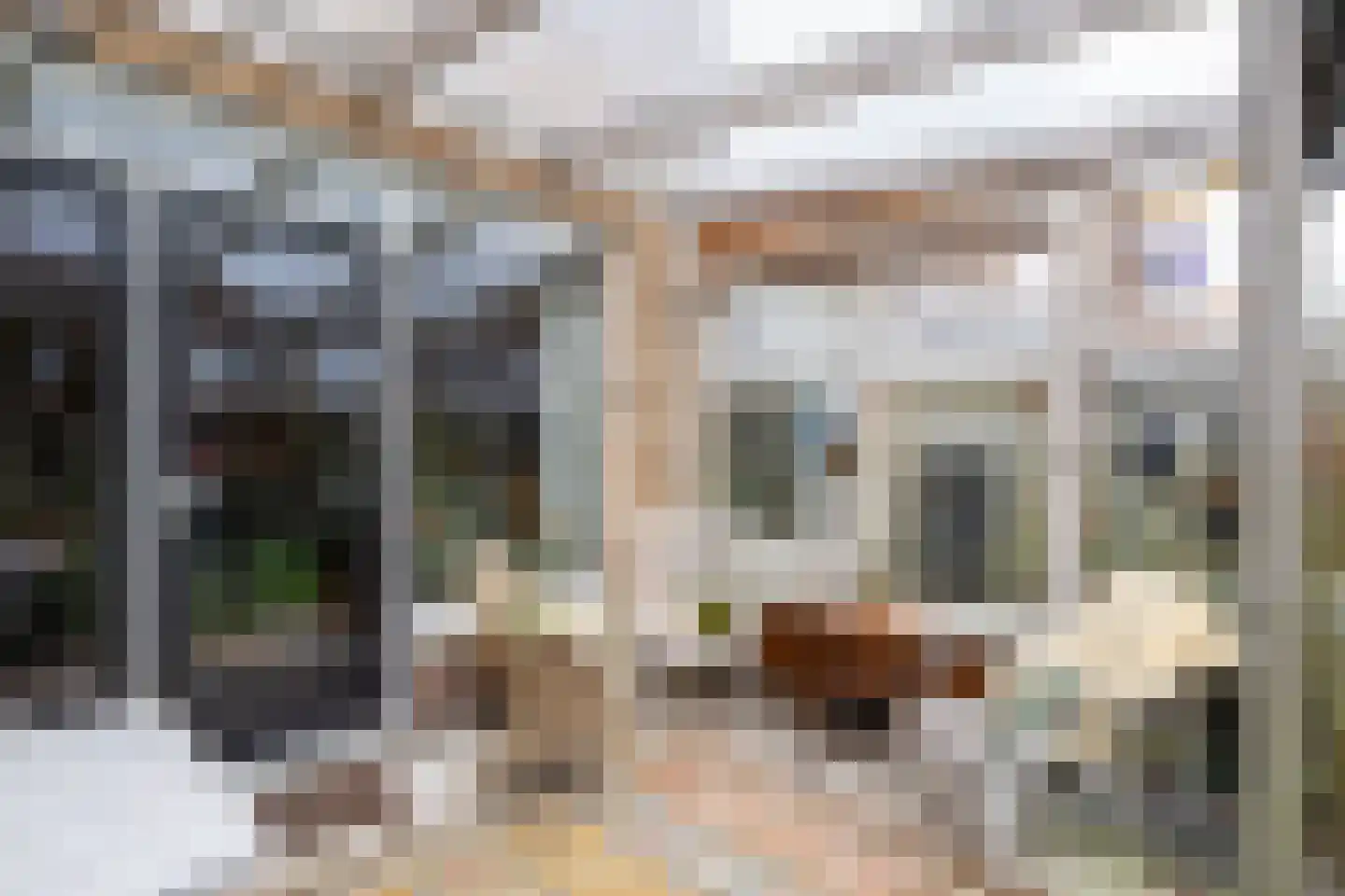 Frederik van Eedenstraat 11 Sommelsdijk thumbnail 45