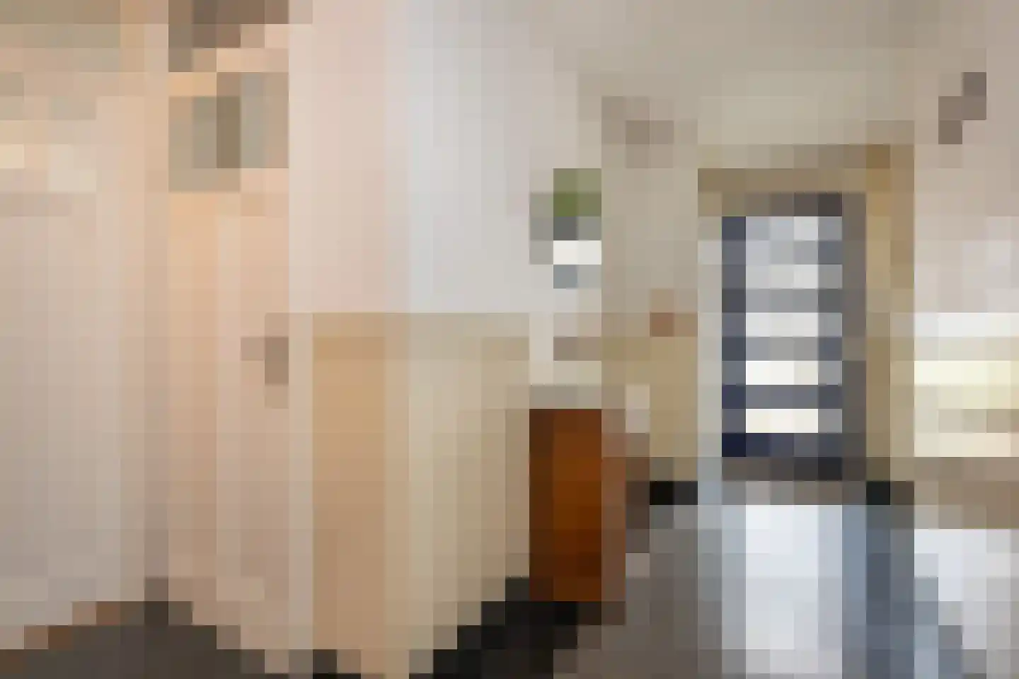 Frederik van Eedenstraat 11 Sommelsdijk thumbnail 6