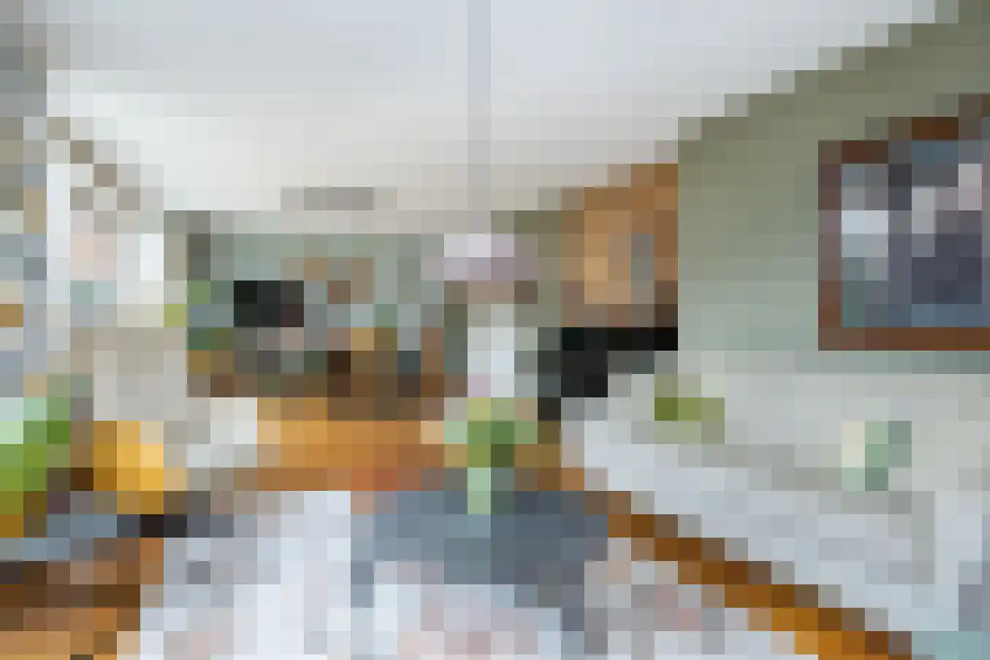 Frederik van Eedenstraat 11 Sommelsdijk thumbnail 8