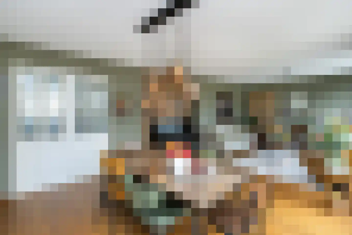 Frederik van Eedenstraat 11 Sommelsdijk thumbnail 9