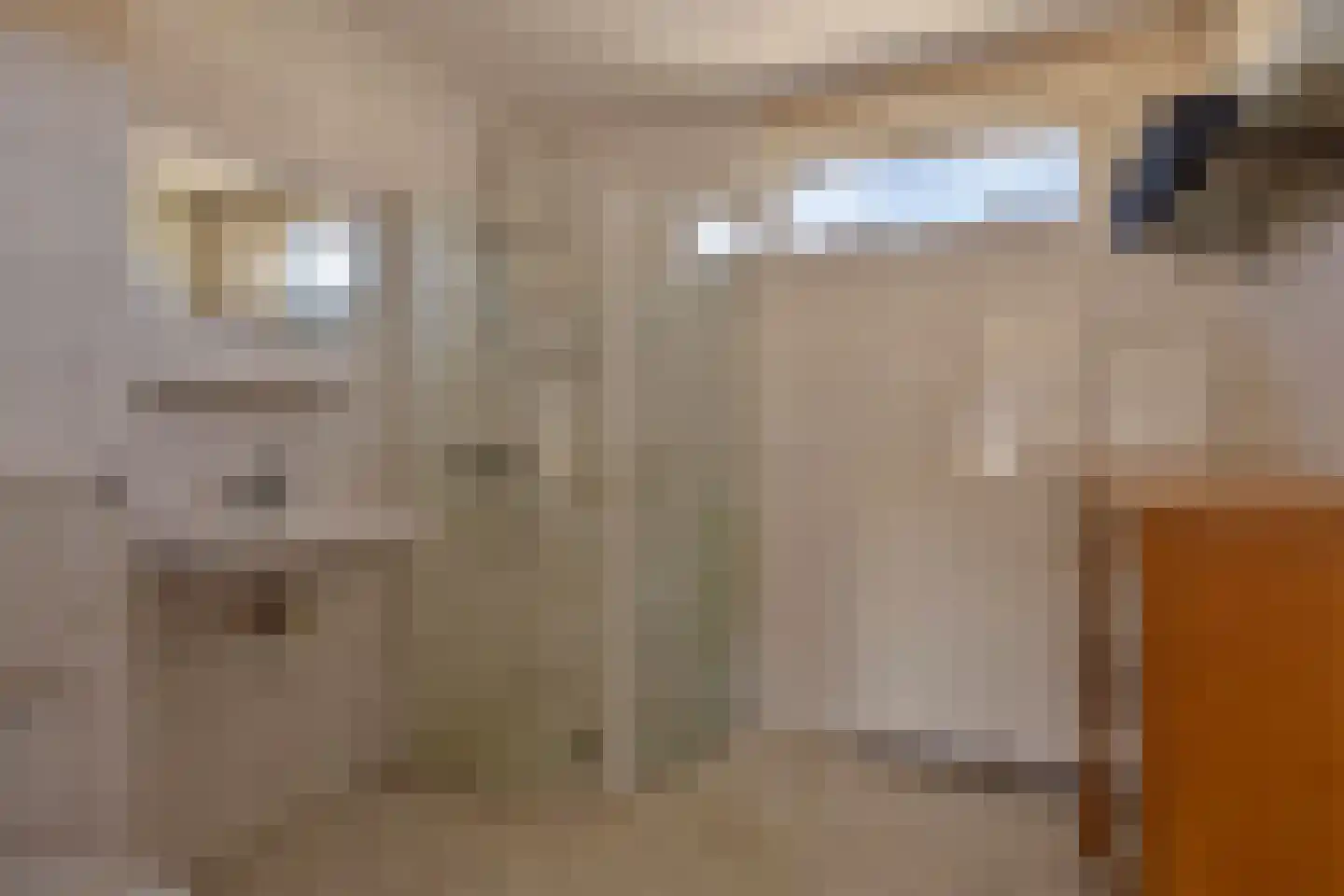 Frederik van Eedenstraat 13 Oldenzaal thumbnail 18