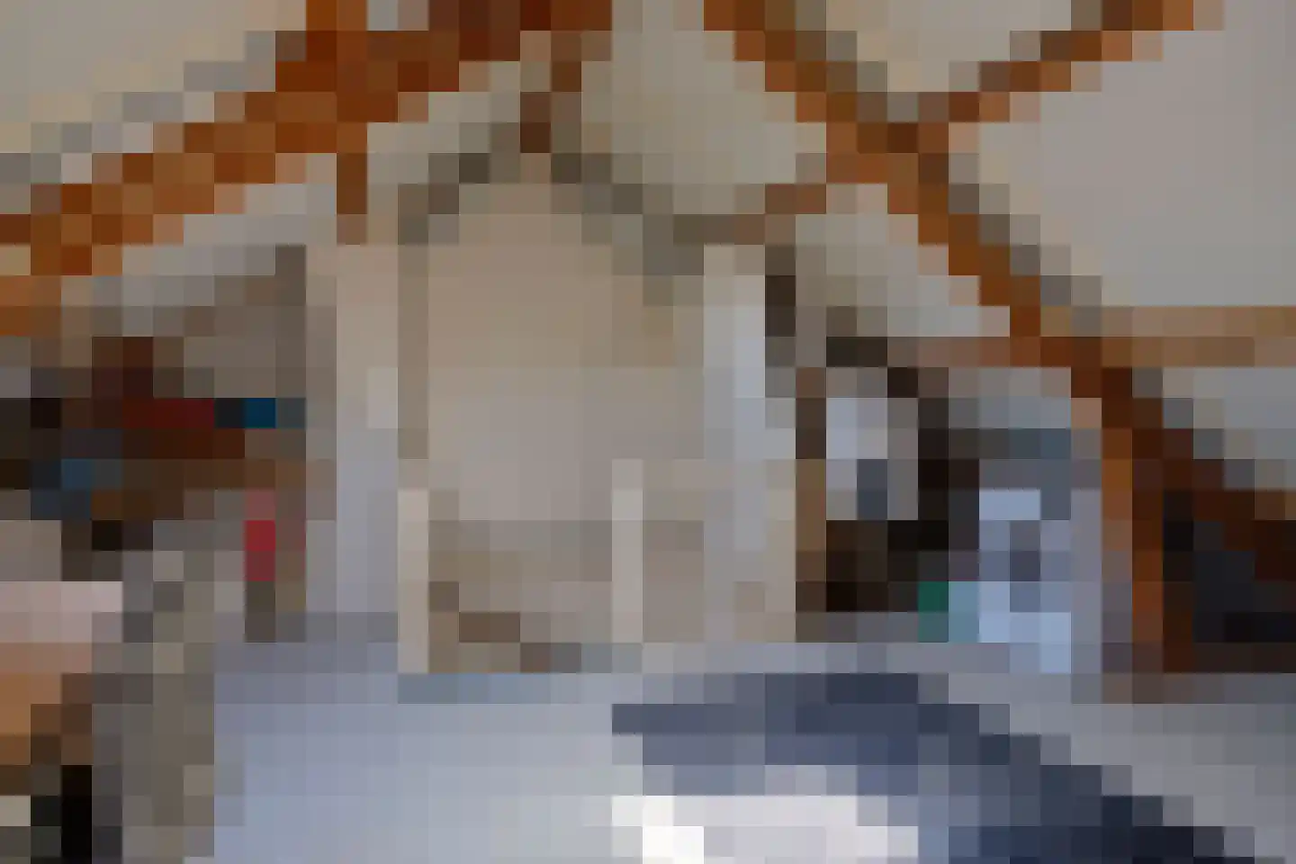 Frederik van Eedenstraat 13 Oldenzaal thumbnail 20