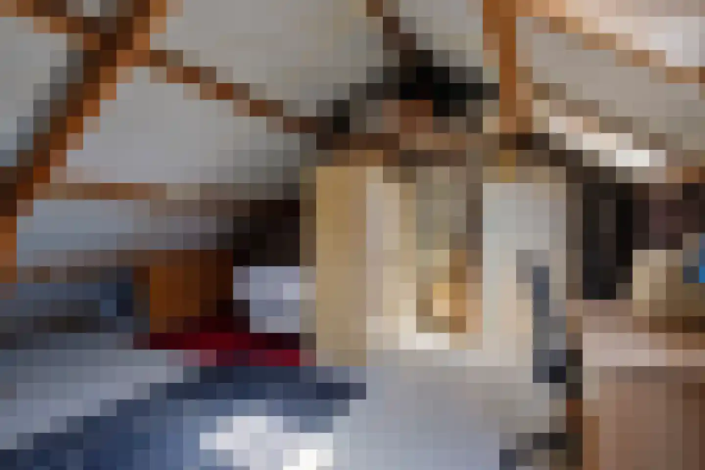 Frederik van Eedenstraat 13 Oldenzaal thumbnail 21