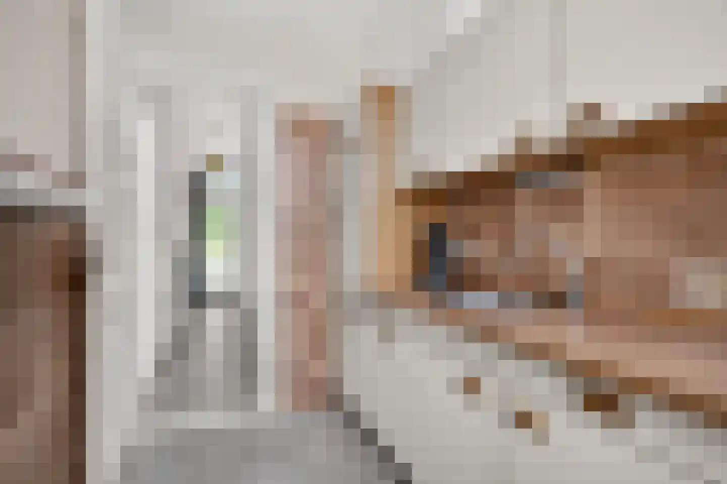 Frederik van Eedenstraat 17 Arnhem thumbnail 10