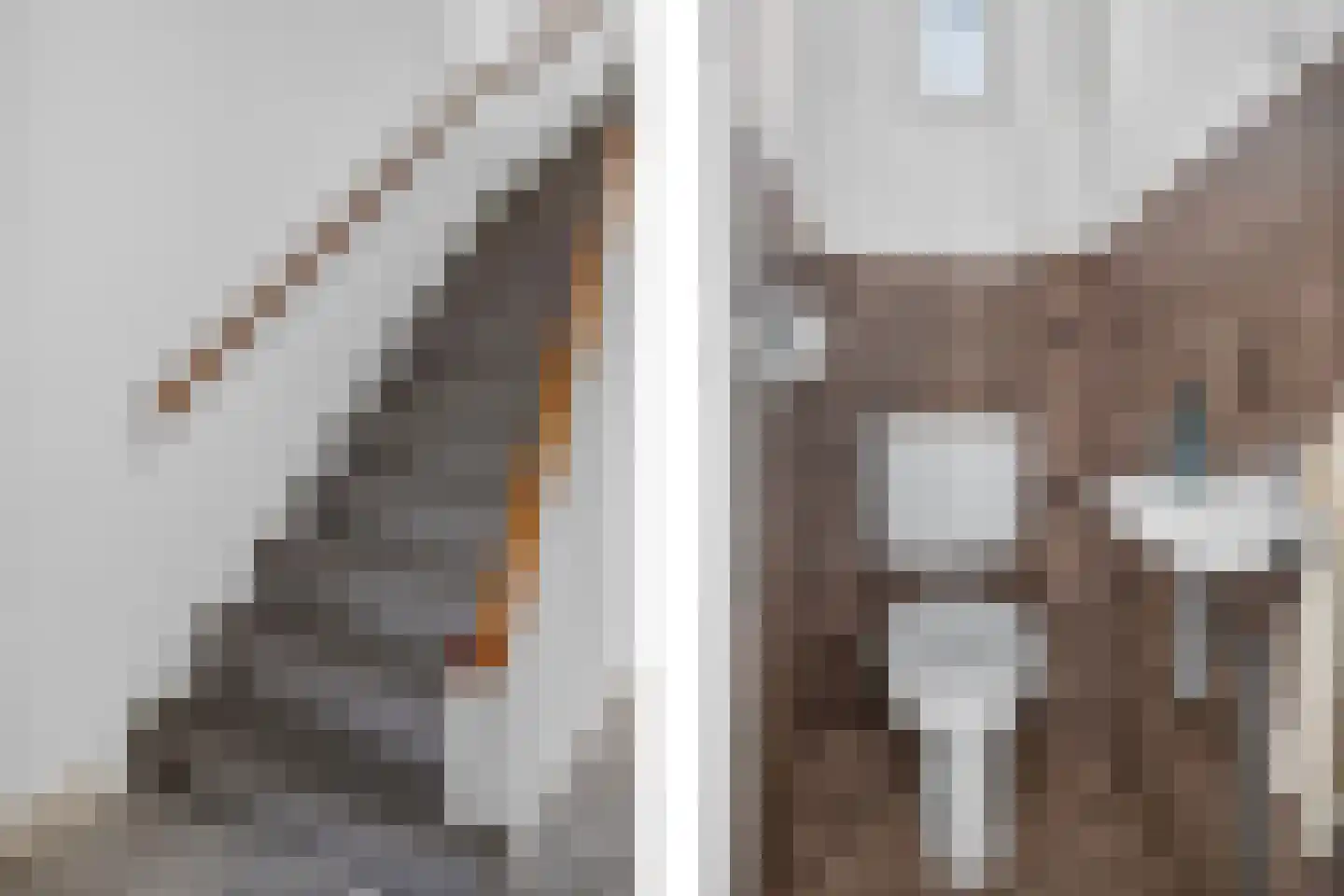 Frederik van Eedenstraat 17 Arnhem thumbnail 12