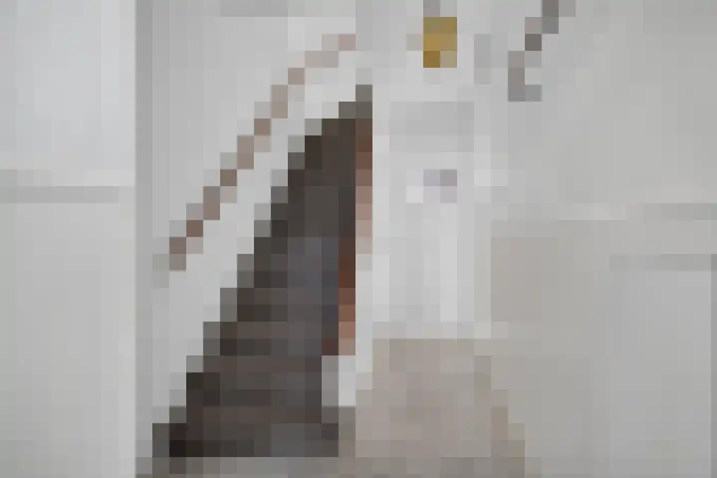 Frederik van Eedenstraat 17 Arnhem thumbnail 15