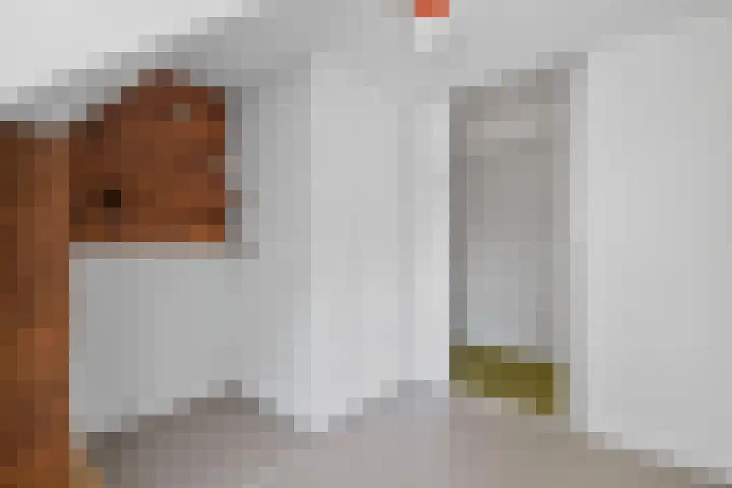 Frederik van Eedenstraat 17 Arnhem thumbnail 27