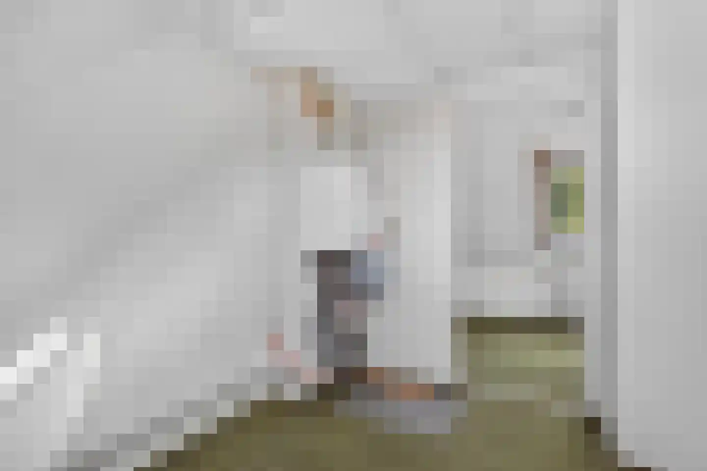 Frederik van Eedenstraat 17 Arnhem thumbnail 31