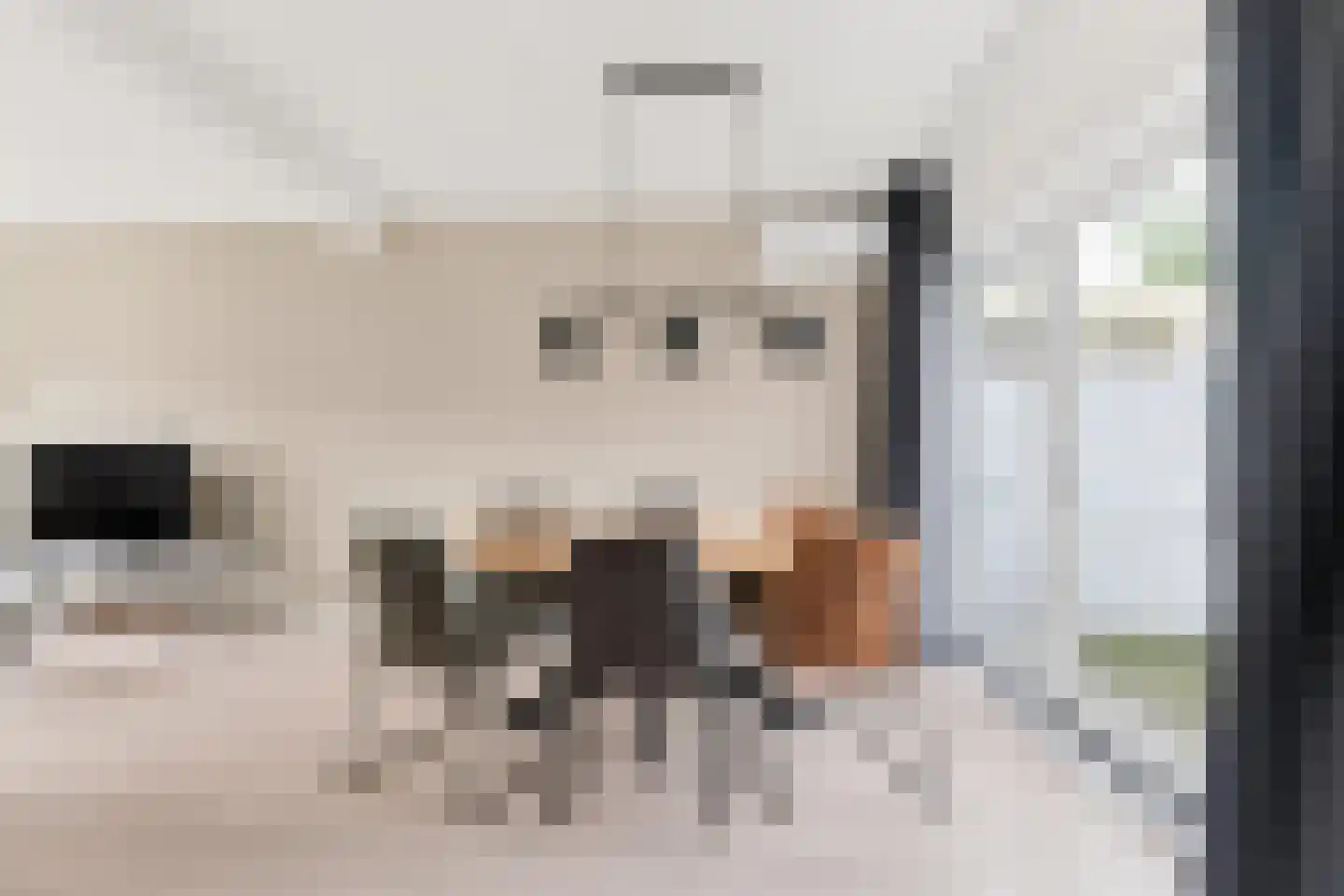Frederik van Eedenstraat 19 Tilburg thumbnail 14