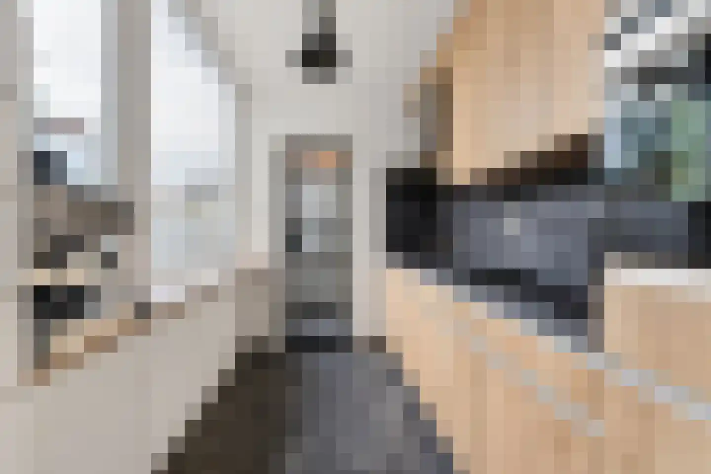 Frederik van Eedenstraat 19 Tilburg thumbnail 17