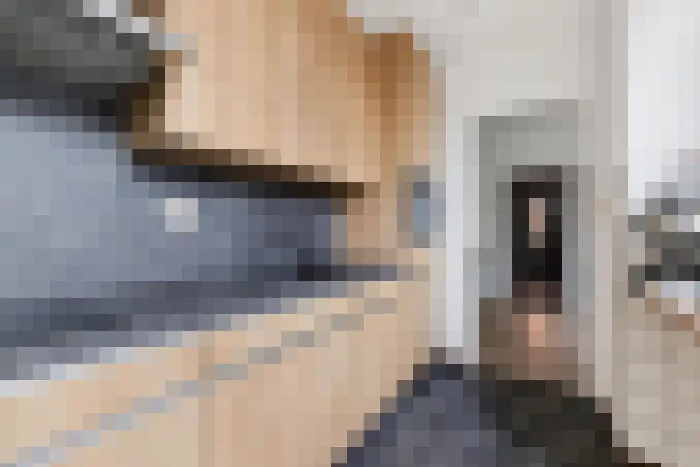 Frederik van Eedenstraat 19 Tilburg thumbnail 19