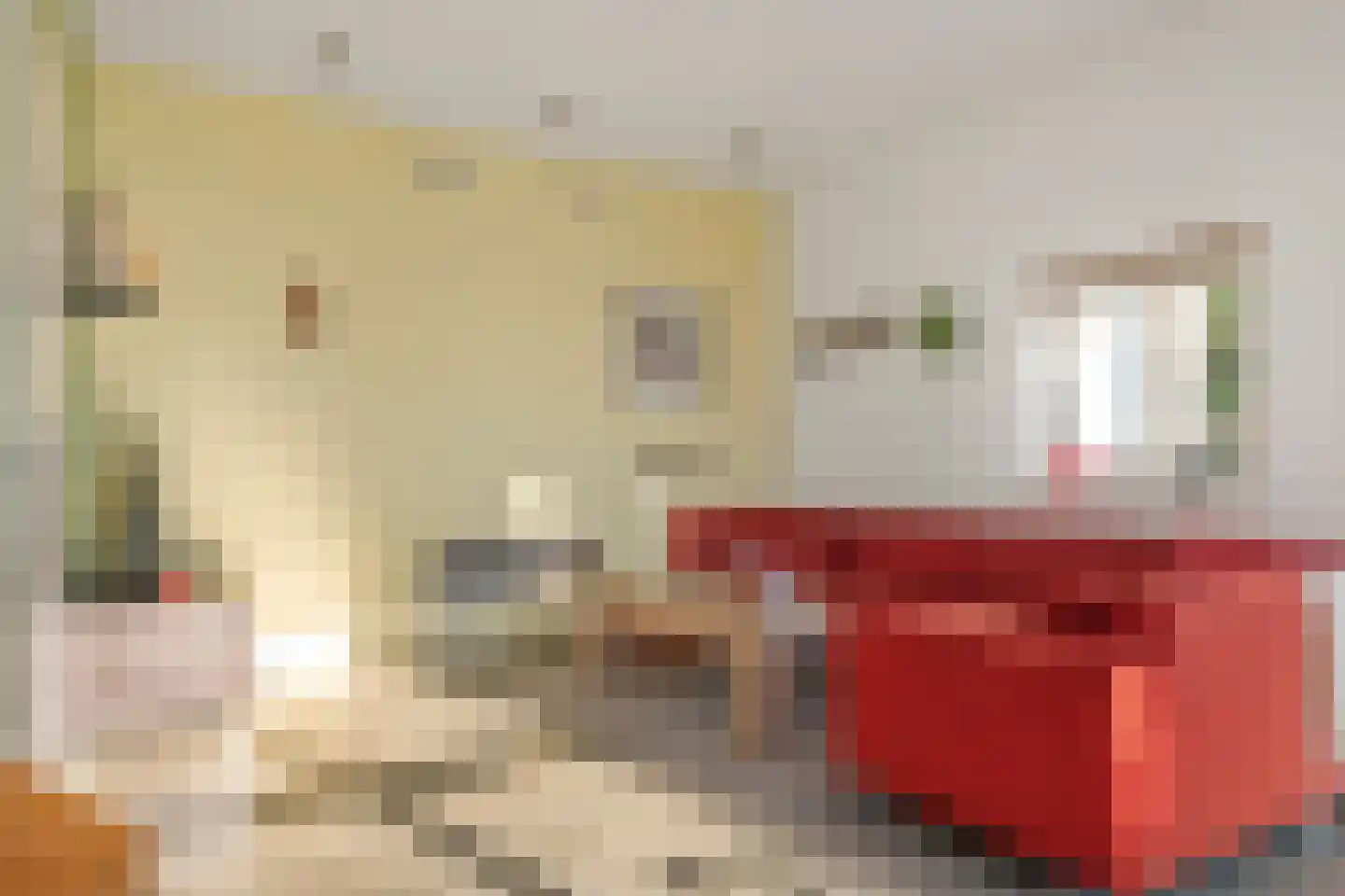 Frederik van Eedenstraat 2 Arnhem thumbnail 14