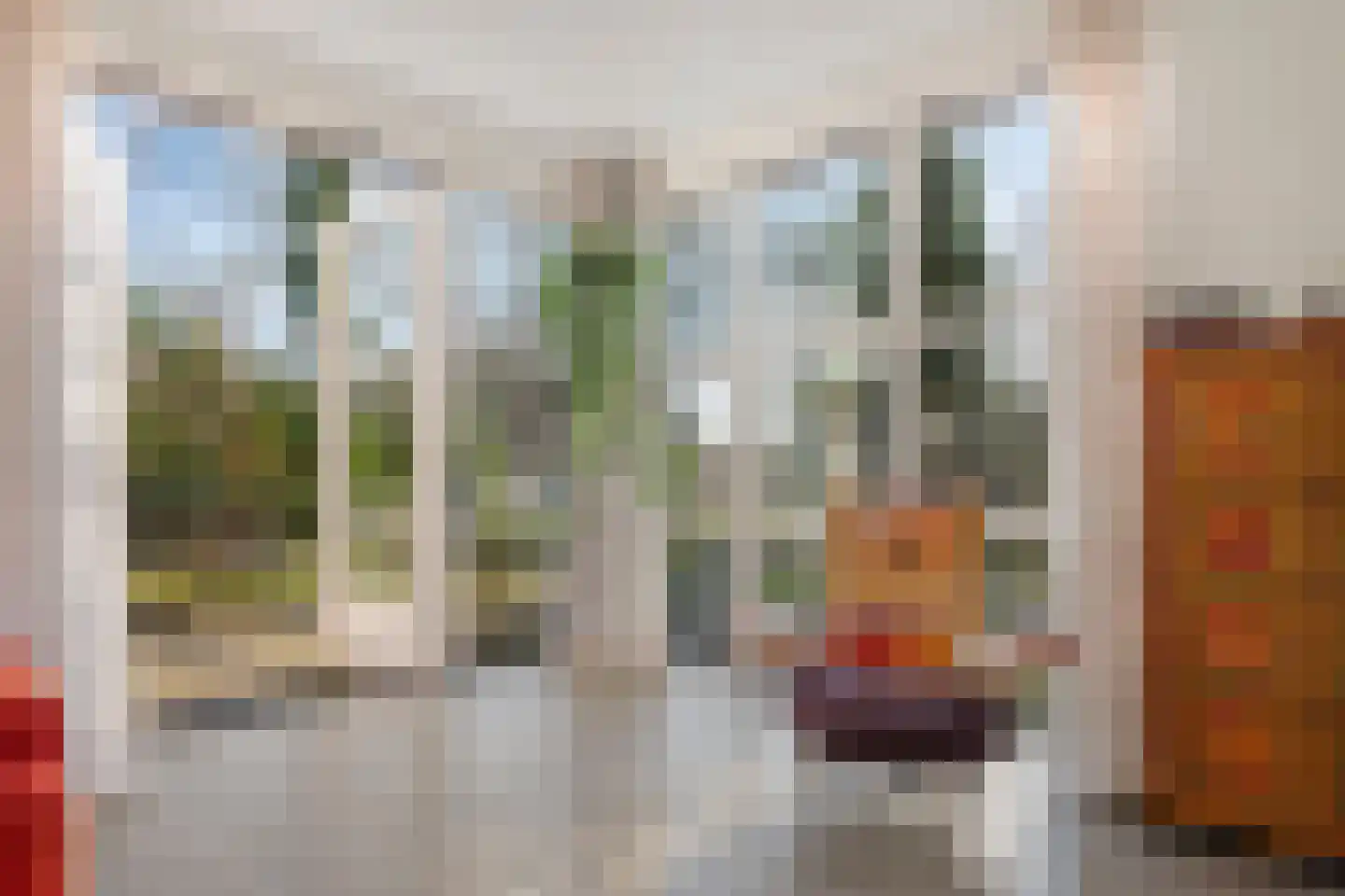 Frederik van Eedenstraat 2 Arnhem thumbnail 17