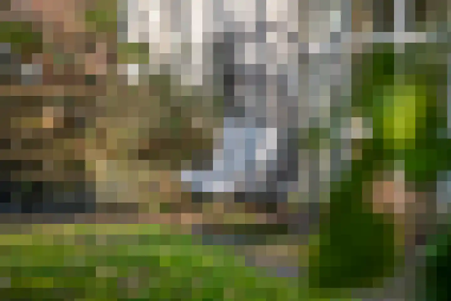 Frederik van Eedenstraat 2 Arnhem thumbnail 21