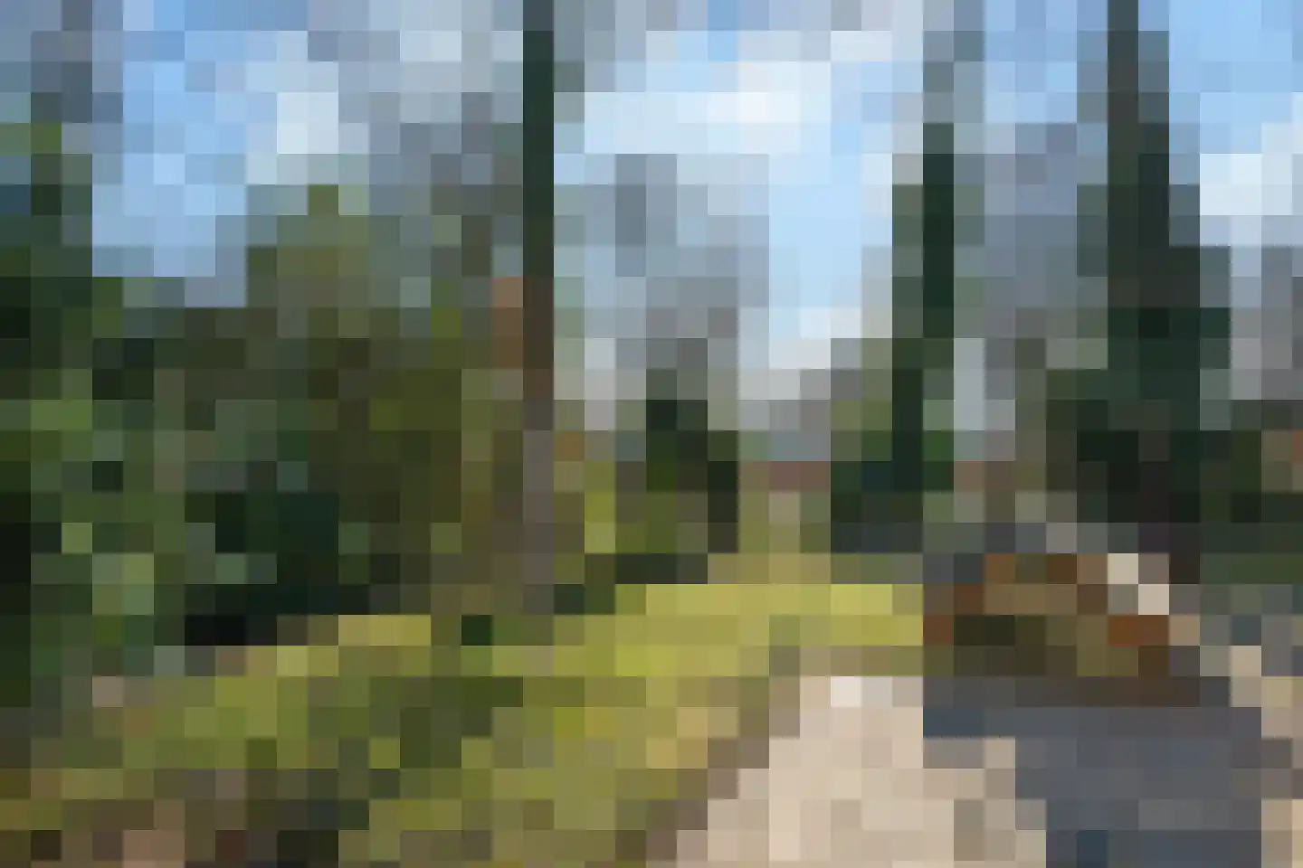 Frederik van Eedenstraat 2 Arnhem thumbnail 23