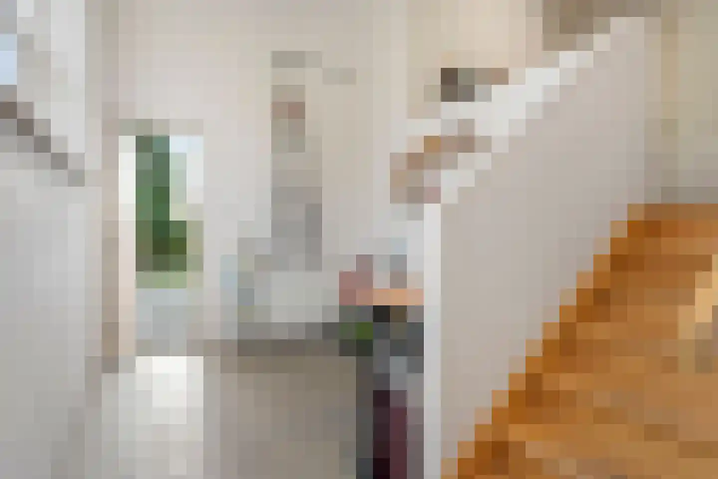Frederik van Eedenstraat 2 Arnhem thumbnail 30