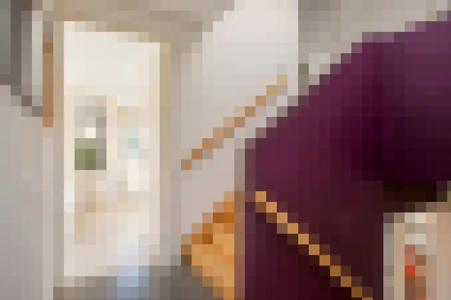 Frederik van Eedenstraat 2 Arnhem thumbnail 34