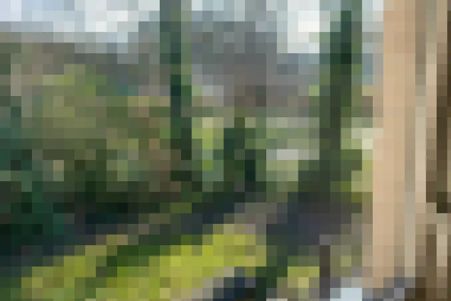 Frederik van Eedenstraat 2 Arnhem thumbnail 37