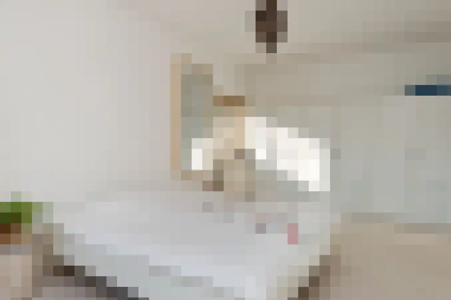Frederik van Eedenstraat 2 Arnhem thumbnail 38