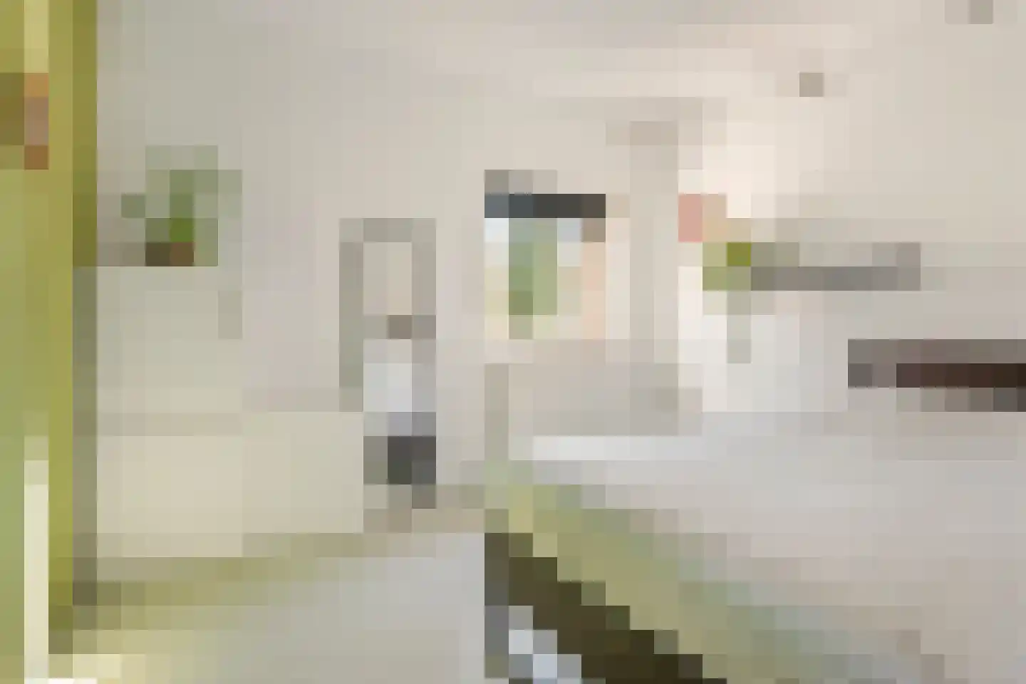 Frederik van Eedenstraat 2 Arnhem thumbnail 39