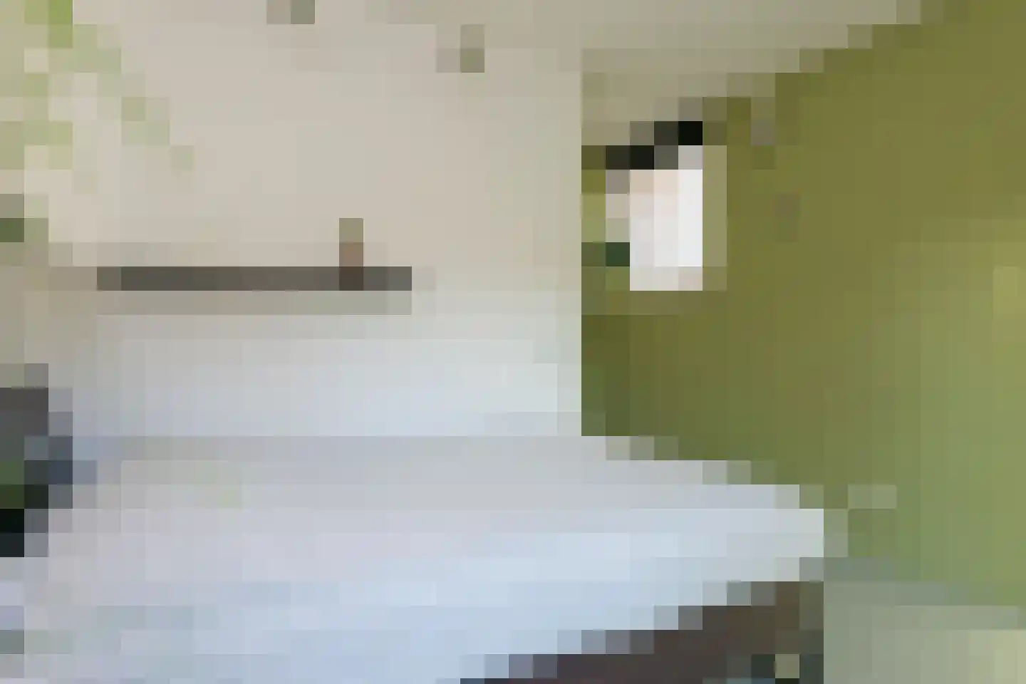 Frederik van Eedenstraat 2 Arnhem thumbnail 40