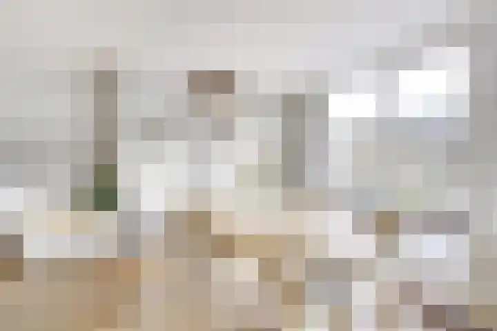 Frederik van Eedenstraat 25 Vleuten thumbnail 18