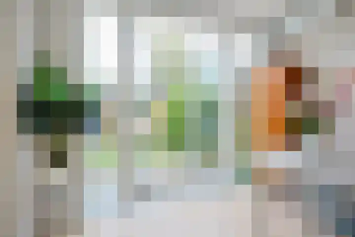 Frederik van Eedenstraat 28 Vleuten thumbnail 20