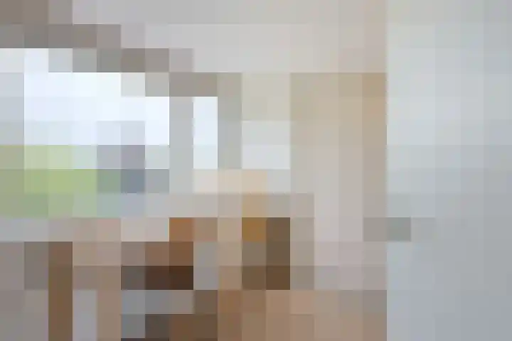 Frederik van Eedenstraat 28 Vleuten thumbnail 43