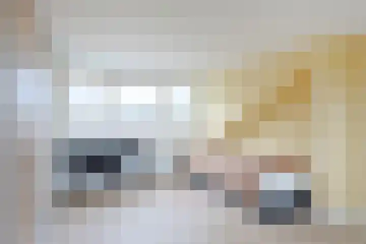 Frederik van Eedenstraat 28 Vleuten thumbnail 44