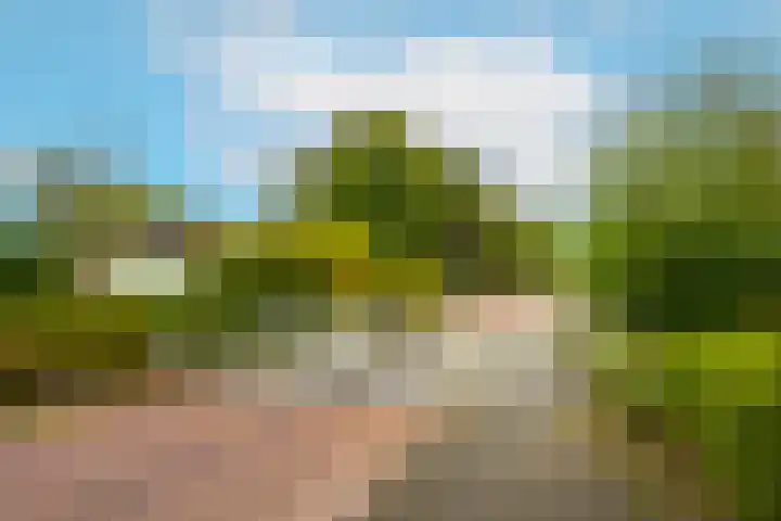 Frederik van Eedenstraat 28 Vleuten thumbnail 47