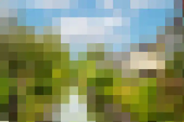 Frederik van Eedenstraat 28 Vleuten thumbnail 49