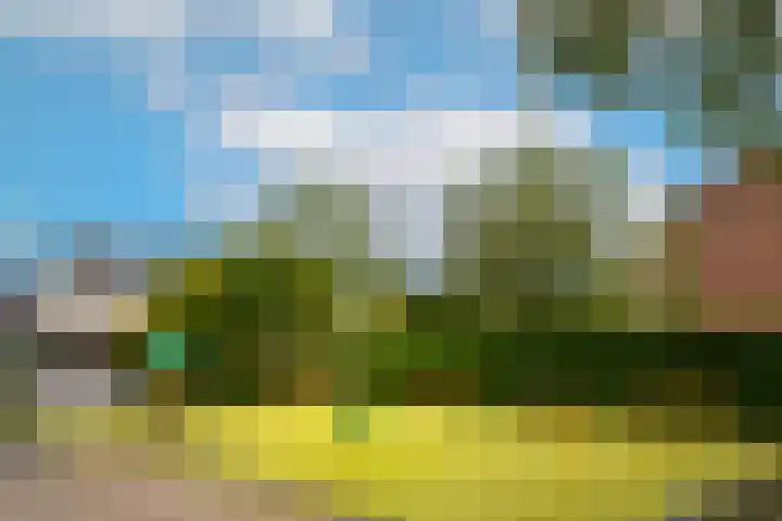 Frederik van Eedenstraat 28 Vleuten thumbnail 50