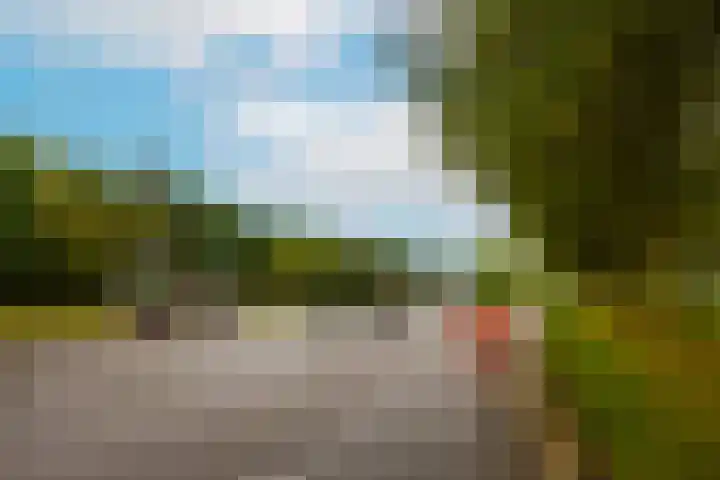 Frederik van Eedenstraat 28 Vleuten thumbnail 52