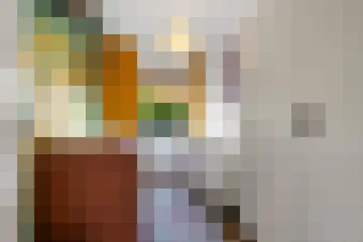 Frederik van Eedenstraat 33 Voorburg thumbnail 23