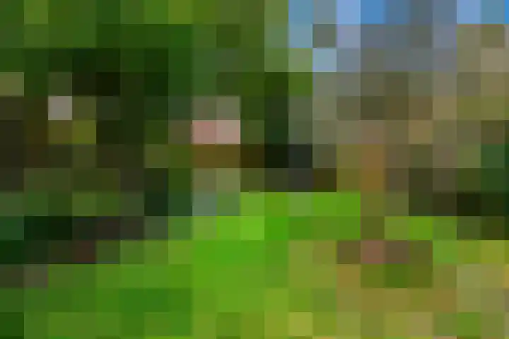 Frederik van Eedenstraat 33 Voorburg thumbnail 4