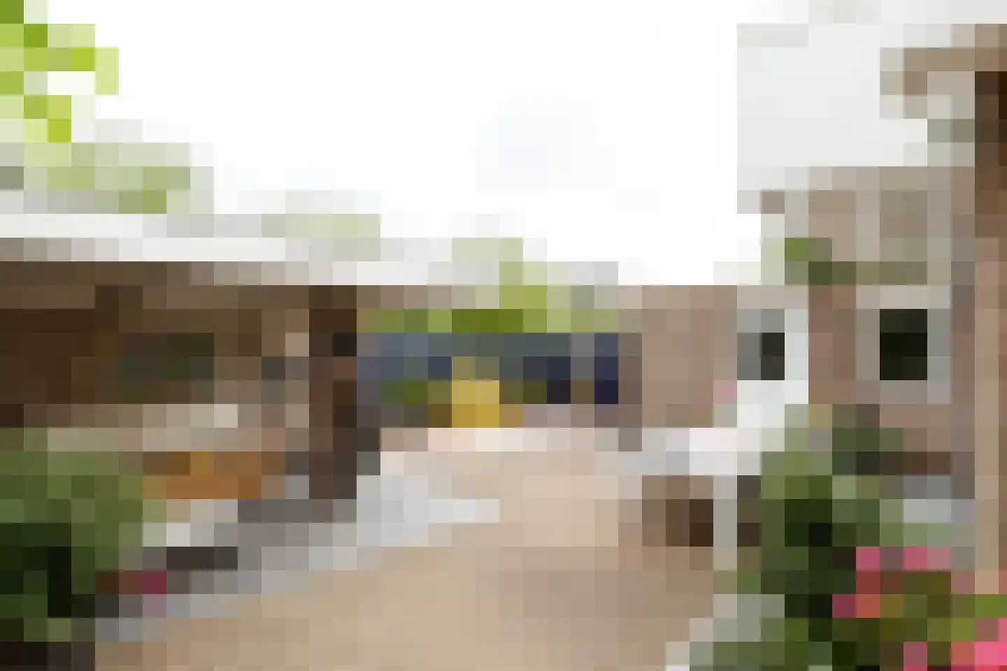 Frederik van Eedenstraat 34 Vleuten thumbnail 10